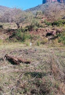 Mkhambathini Otro | Sheriff's Campsite
