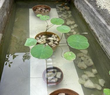 Vadavalli Casa | SHI's Isha Homestay in Coimbatore