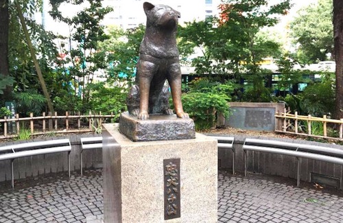 Higashi Apartamento | Anon Shibuya A2038min4ppl - A203 / Shibuya-ku Tokyo