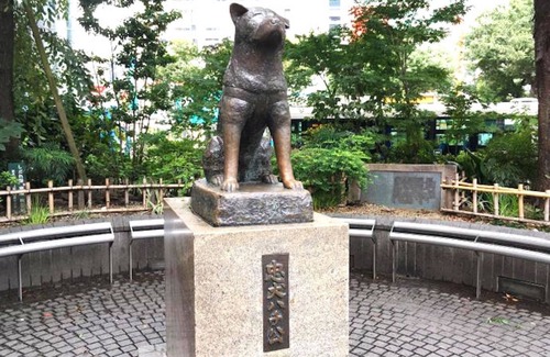 Higashi Apartamento | Anon Shibuya A1018min4ppl - A101 / Shibuya-ku Tokyo