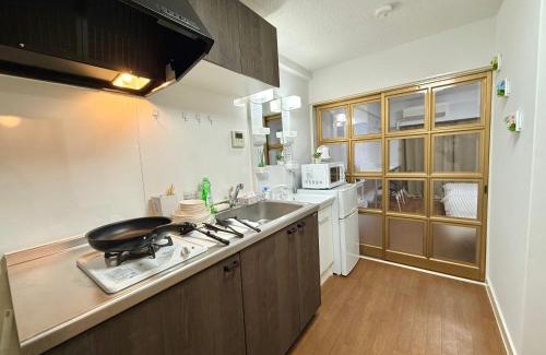 Nishiwaseda Apartamento | Shinjuku Wasedaハウス t2