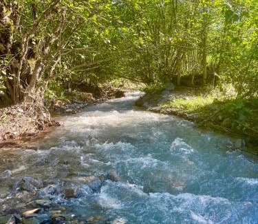 Racha-Lechkhumi and Lower Svaneti Apartamento | Shoda Valley შოდა ველი