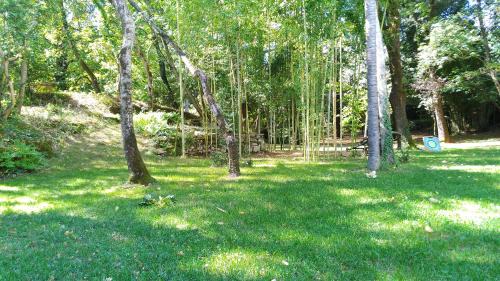 Capolona Apartamento | Short Rent Il Casale