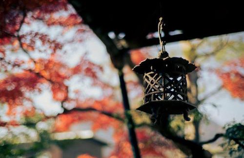 Nagano Apartamento | Showrai-An 松頼庵