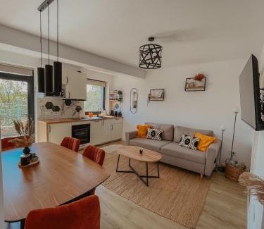 Sura Mare Apartamento | Sibiu City Lights
