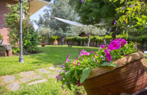 Mascalucia Casa | Sicily's View