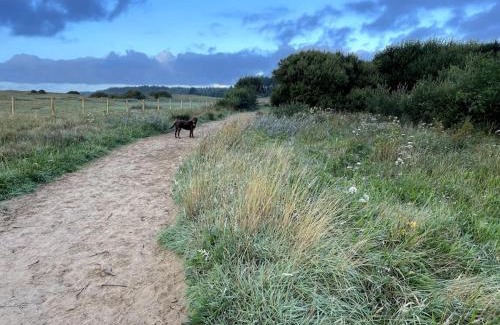 Llanfairpwllgwyngyll Casa | Sied Potio