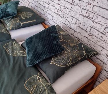 Ostrow Wielki Apartamento | Siedlisko Jelonki