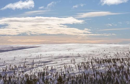 Saariselka Chalet De Esquí | Sielikkö Aurora Log Villas