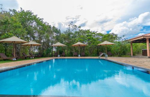 Dambulla Complejo | Sigiriya Forest Edge By Marino Leisure