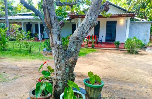 Sigiriya Casa | Sigiriya Moon Mirage Villa