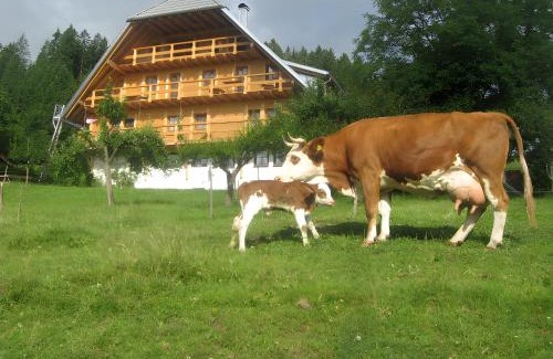 Schonach im Schwarzwald Casa | Sigmundenhof Schonach