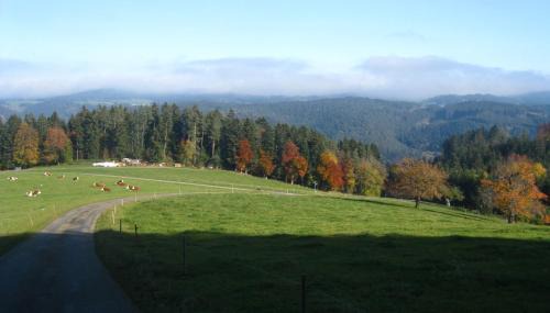 Schonach im Schwarzwald Casa | Sigmundenhof Schonach