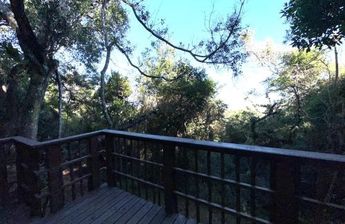 Lopes Apartamento | Signal hill estate