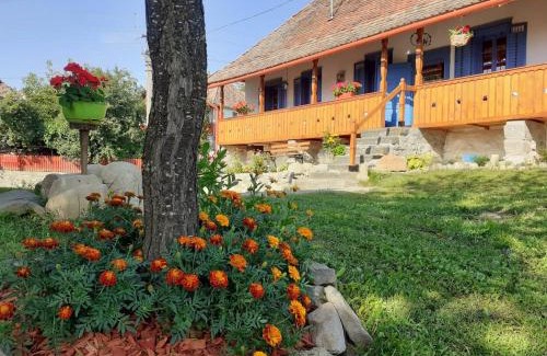 Siclod Casa | Siklód. Botond Panoráma Kulcsosház (6 fő) Botond Panoramic Chalet