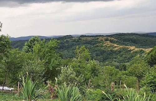 Siclod Casa | Siklód. Botond Panoráma Kulcsosház (6 fő) Botond Panoramic Chalet