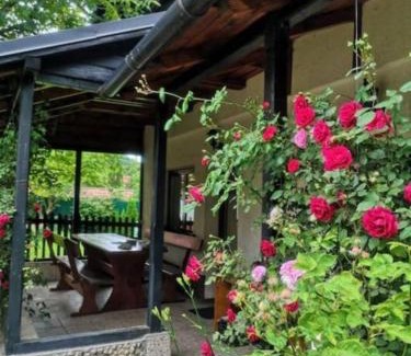 Bran Casa | Silva Cabin - In the heart of Bran, next to the Castle w/free parking