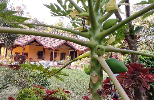 Madikeri Casa | SILVER BROOK ESTATE HOMESTAY