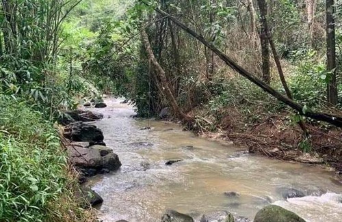 Madikeri Casa | SILVER BROOK ESTATE HOMESTAY