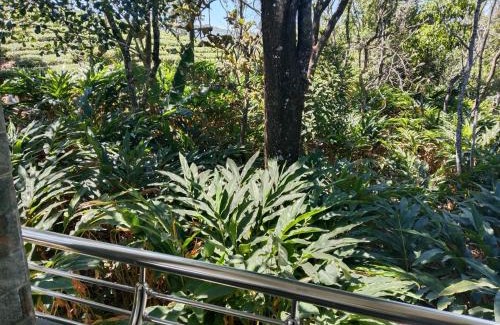 Elappara Apartamento | Silver homestay