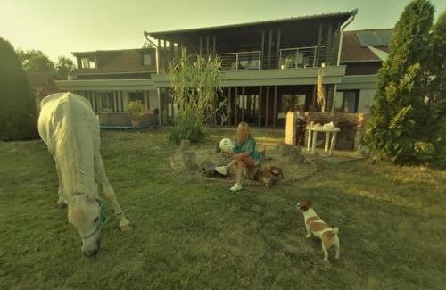 Bekes Cama Y Desayuno | Silver Horse Ranch