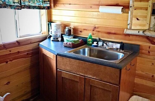Rapid City Cabina | Silver Lining Cabin in the Black Hills near Mount Rushmore