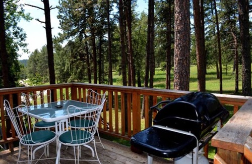 Rapid City Cabina | Silver Lining Cabin in the Black Hills near Mount Rushmore