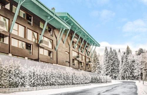 Poiana Brasov Apartamento | Silver Mountain, Duplex 3 camere - 250 mp luxury garden - Poiana Brasov