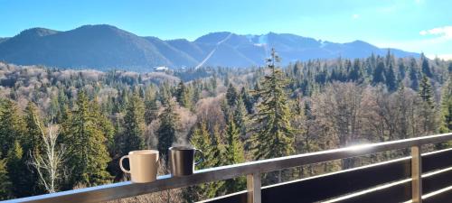 Poiana Brasov Apartamento | Silver Mountain Panoramic View C48