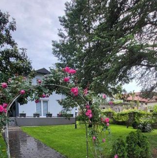 Veliko Gradiste Casa | Silver Rose apartman