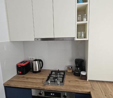 Radauti Apartamento | Silvery Studio 22