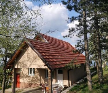 Mionica Casa | SIMIĆ planinska kuća