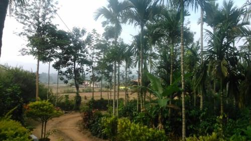 Bittangala Casa | Simply Coorg Estate Villa