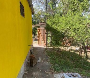 Colonia Casa | Sin Pensarlo