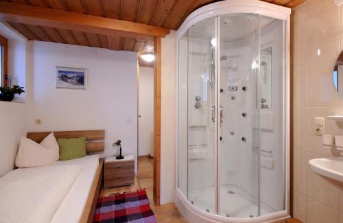 Vorderlanersbach Apartamento | Single Apartment Martlerhof