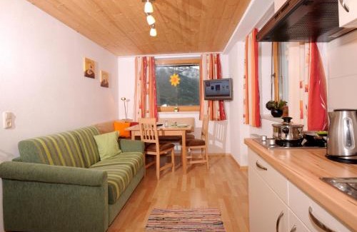 Vorderlanersbach Apartamento | Single Apartment Martlerhof