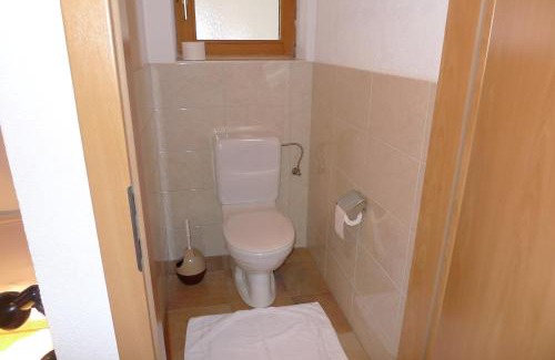 Vorderlanersbach Apartamento | Single Apartment Martlerhof