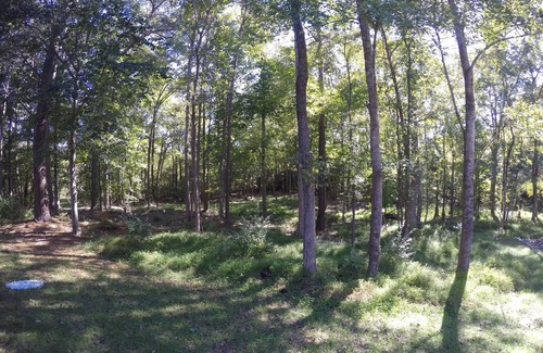 North Raleigh Casa | Single Family Culd-de-sac wooden lot home in Wakefield Plantation near TPA W/PGA