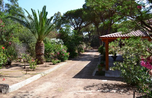 Eden Rock Villa | Villa individual inmersa en un bosque de pinos de 13000m² Santa Margherita