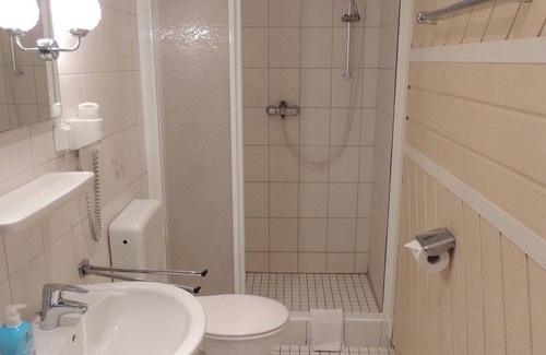 Sankt Goarshausen Casa | Single room, shower or bath, toilet - Hotel Café Herrmanns Mühle