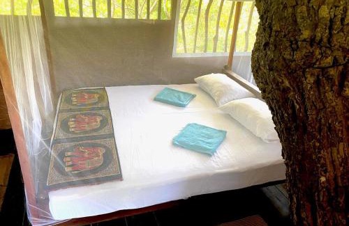 Palatupana Cabina | Single Trees Yala