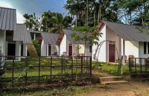 Kotapola Cama Y Desayuno | Sinharaja Rainforest Sanctuary