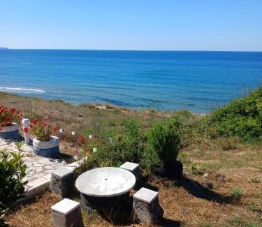 Sinop Apartamento | Sinop Barış Pansiyon