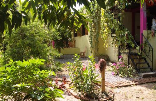 Palomino Casa | Sistarasta
