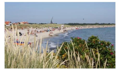 Skagen Apartamento | Skøn villalejlighed i Skagen med terrasse og tæt på centrum