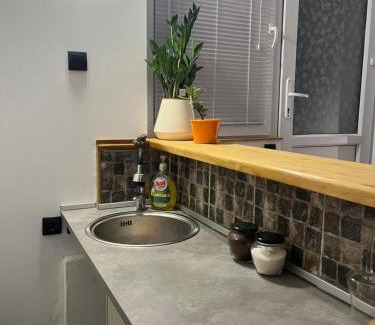 Pancevo Apartamento | Skadarska