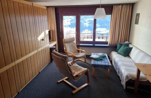 Pany Apartamento | Ski fahren-Schneeschuhwandern-Langlauf inkl Hallenbad