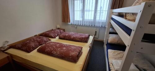 Pany Apartamento | Ski fahren-Schneeschuhwandern-Langlauf inkl Hallenbad