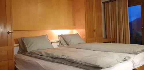 Pany Apartamento | Ski fahren-Schneeschuhwandern-Langlauf inkl Hallenbad