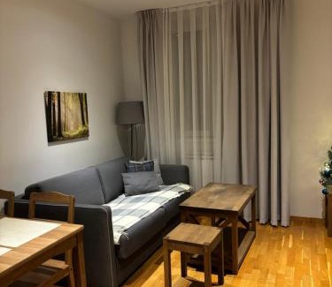 Kopaonik Apartamento | SKI GONDOLA & FREE PARKING apartment